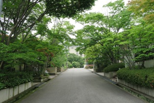 八代邸、H邸、I邸、N邸（外構作庭部分）の画像