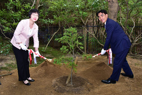 北山　植樹