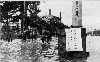 浸水した西宮市役所前の写真